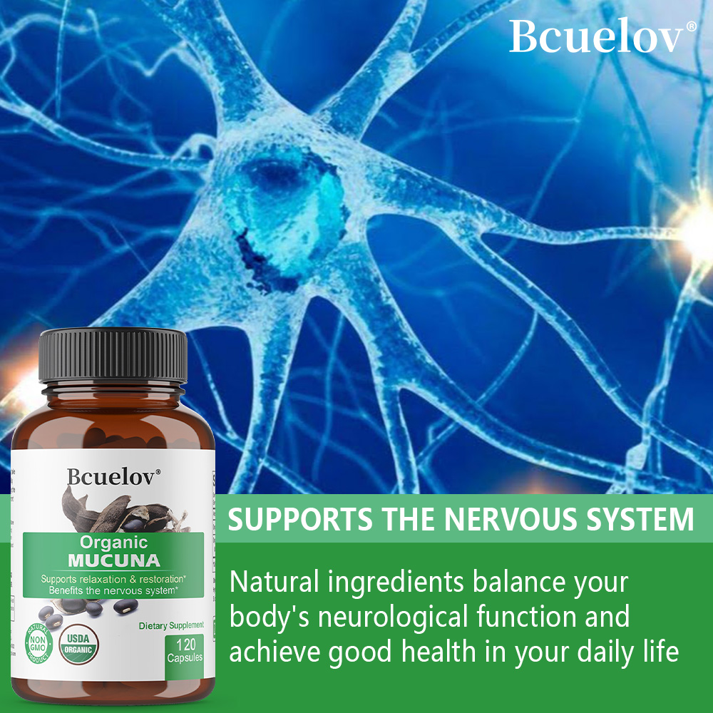 Bio-Mucuna-Kapseln – unterstüt – Herbal Wellness Water Bewertung und Preis