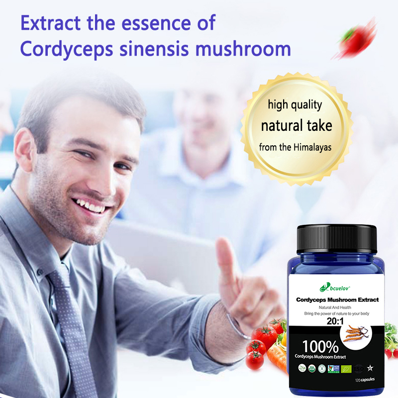 Cordyceps-Pilzextrakt-Kapseln, – Herbal Wellness Water Bewertung und Preis
