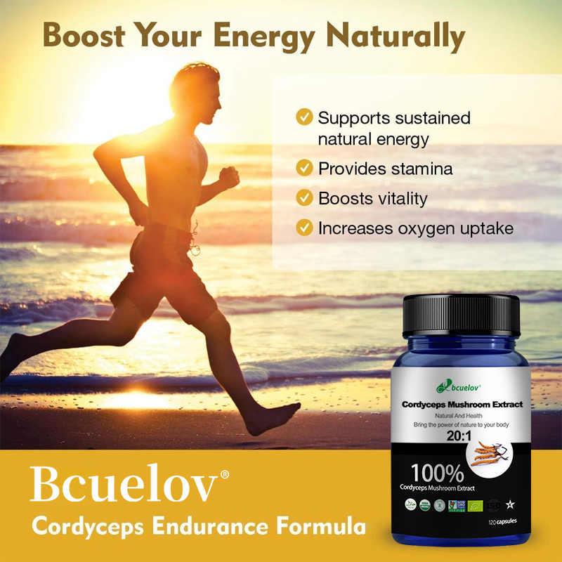 Cordyceps-Pilzextrakt-Kapseln, – Herbal Wellness Water Bewertung und Preis
