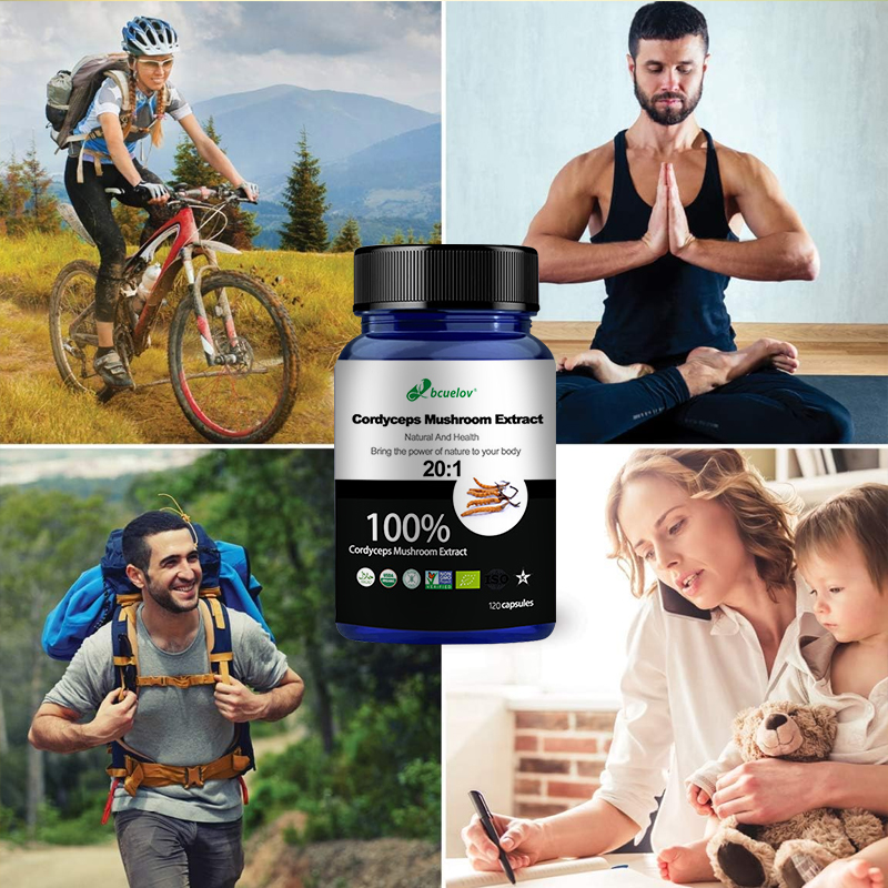 Cordyceps-Pilzextrakt-Kapseln, – Herbal Wellness Water Bewertung und Preis